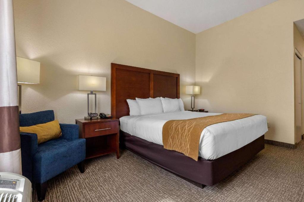 Comfort Inn & Suites Camden Exterior photo